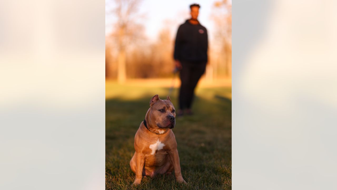 D.J. Wonnum's Dog Simba on Purple Pups