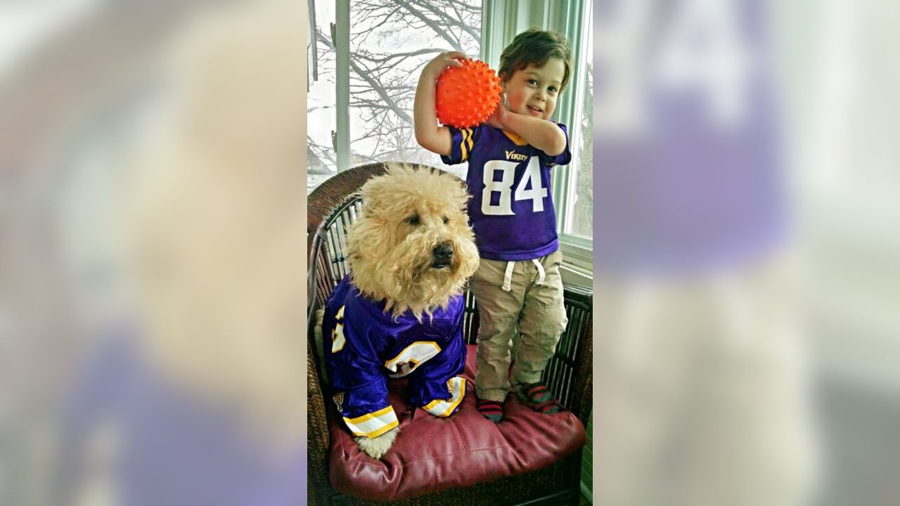 Photos: Vikings Fans Embrace National Dress Up Your Pet Day