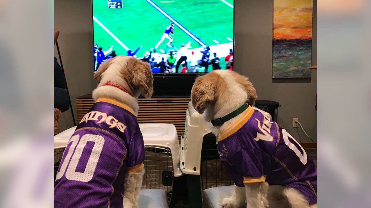 Photos: Vikings Fans Embrace National Dress Up Your Pet Day