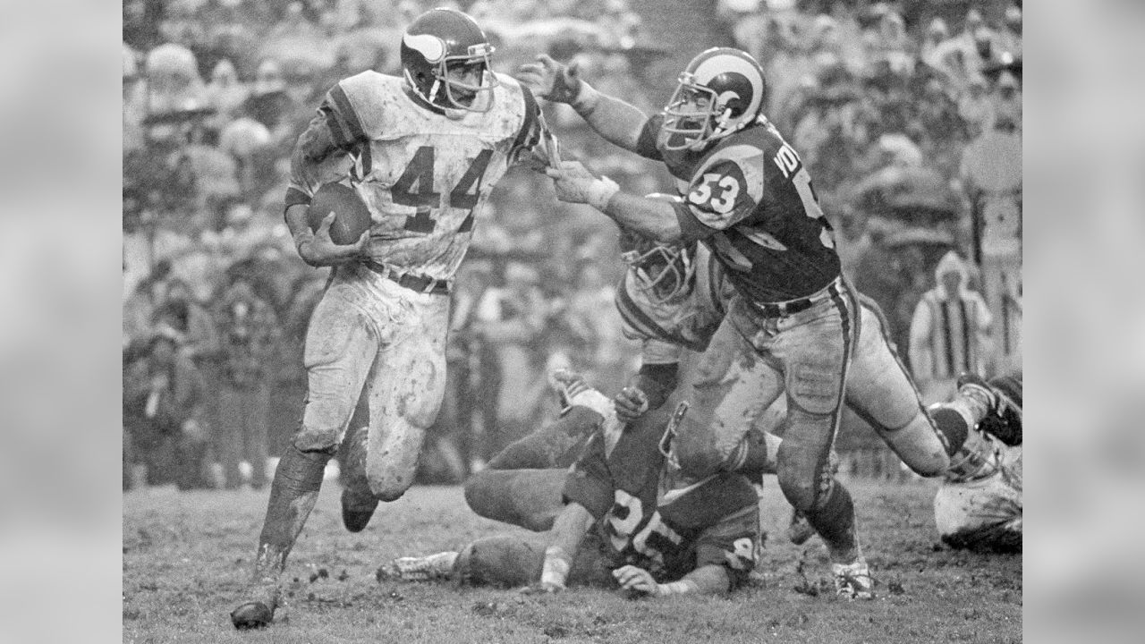 Ex-Vikings RB Ed Marinaro 'didn't set out to create a brouhaha' in NFL  draft appearance – Twin Cities