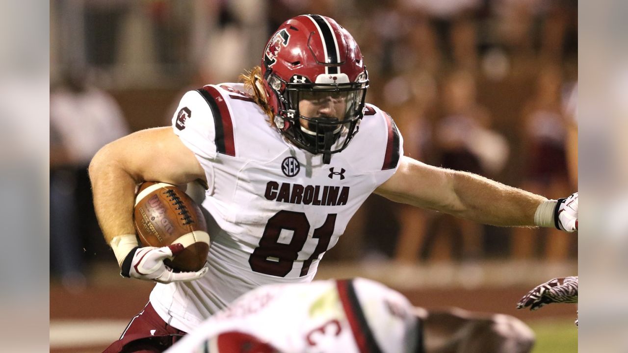 Former Gamecock Hayden Hurst scores first touchdown with Carolina Panthers