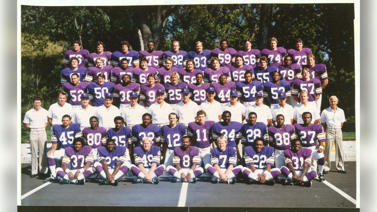 1969 minnesota vikings