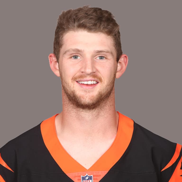 Image result for jeff driskel