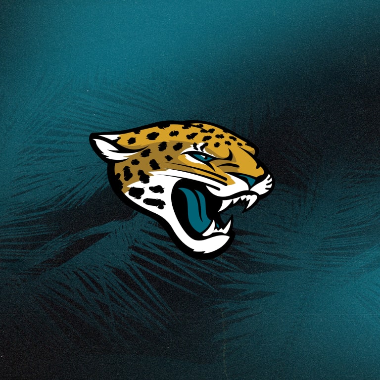 jacksonville jaguars trainers