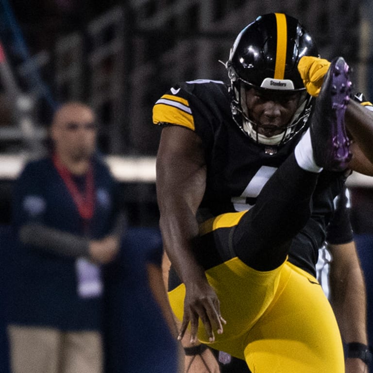 Pressley Harvin III of the Pittsburgh Steelers punts the ball