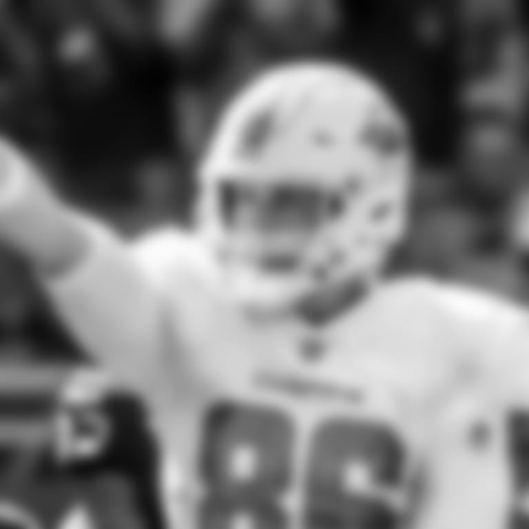 Mike-Gesicki-Bio