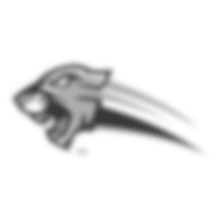 Steele Canyon Logo 1