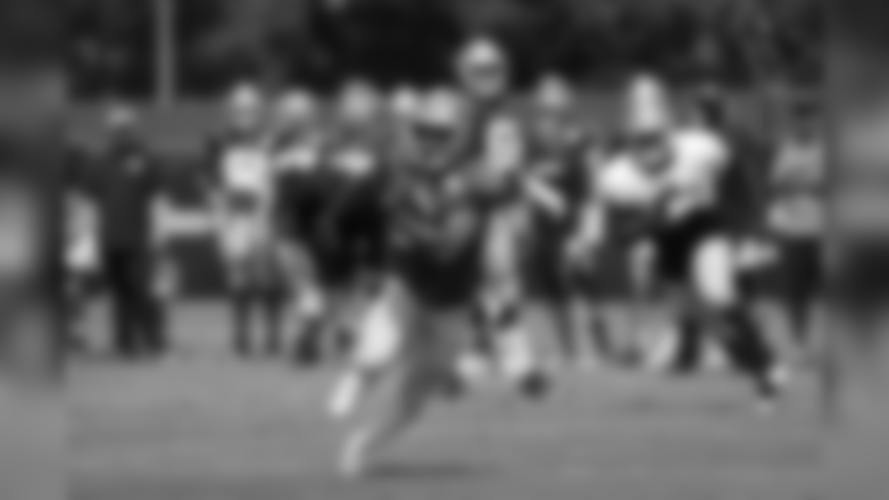 RB Matt Breida