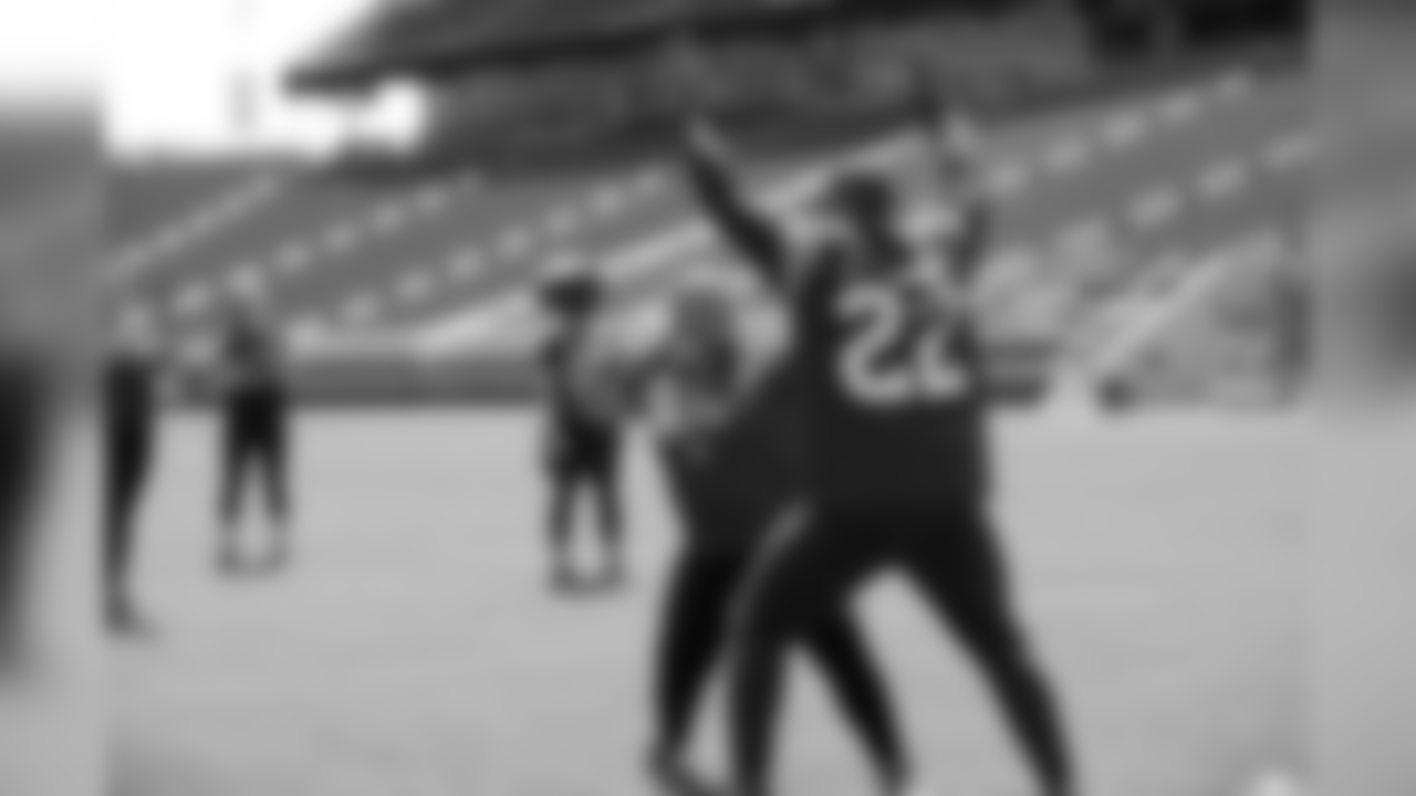 RB Matt Breida