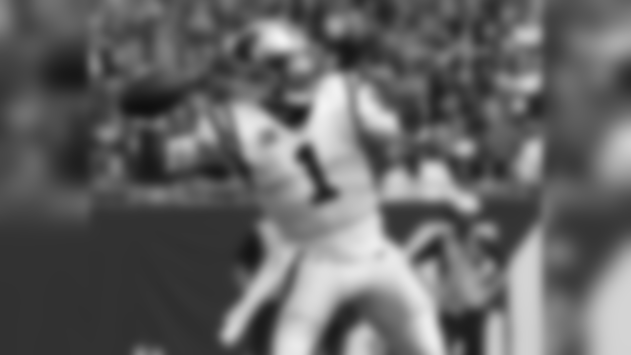 Carolina Panthers