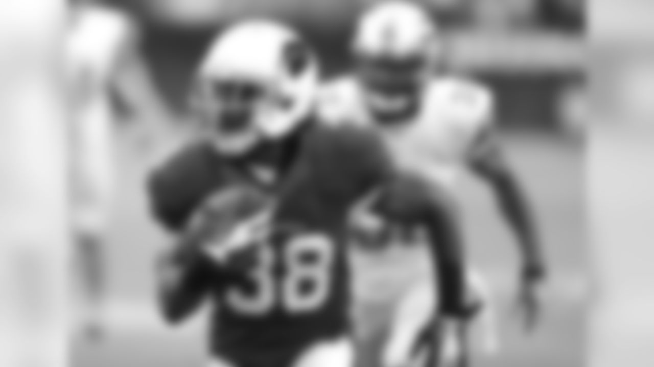 Arizona Cardinals running back Andre Ellington (38) runs in a touchdown against the Detroit Lions during the first half of a NFL football game, Sunday, Sept. 15, 2013, in Glendale, Ariz.