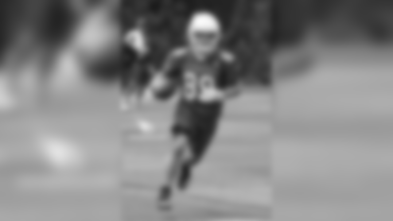 WR Andy Isabella