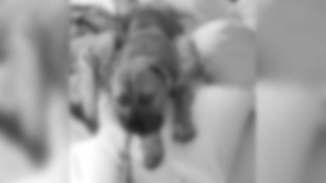 Forrest Lamp's dog Leo.