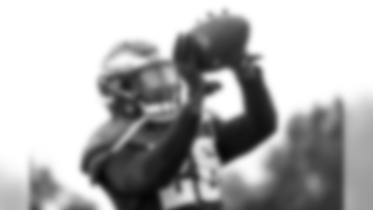 Jay Ajayi