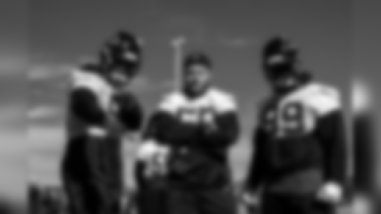 DL Jack Crawford ,DE Brooks Reed, DT Terrell McClain
Atlanta Falcons/ Carmen Mandato