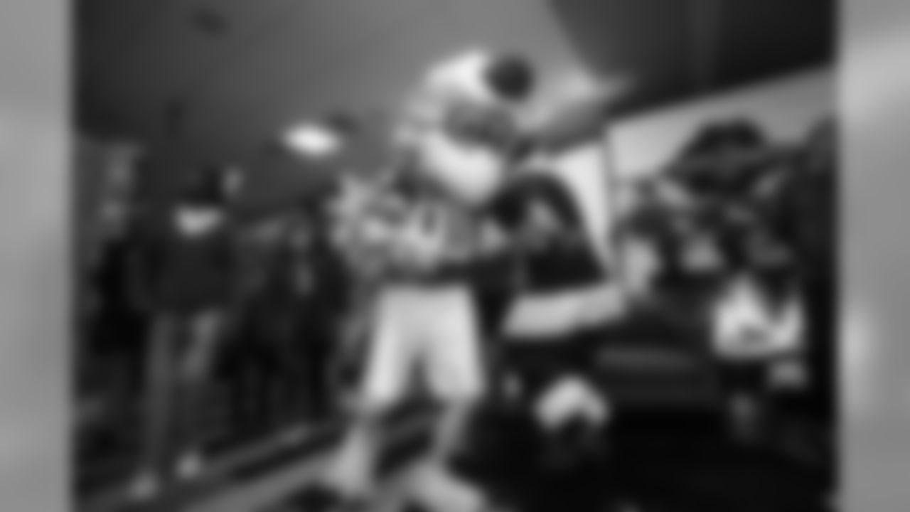 Atlanta Falcons/Carmen Mandato