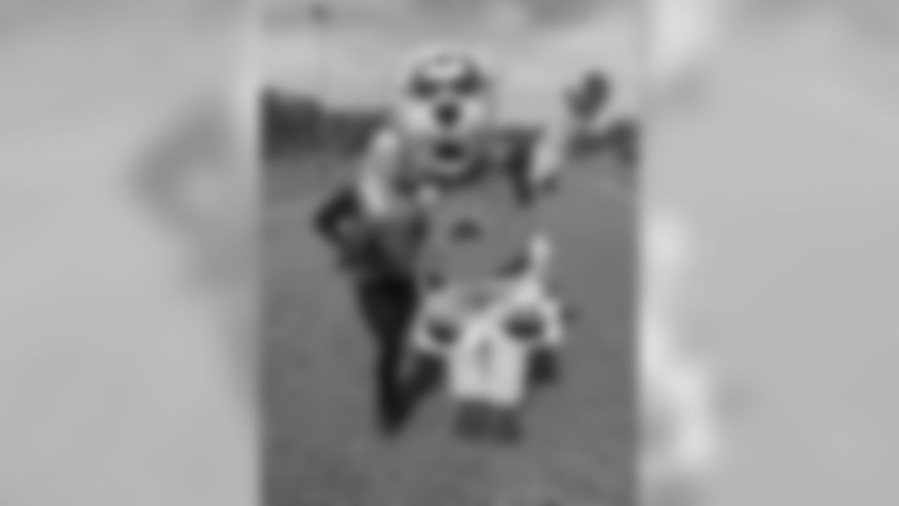 Gingerimage6