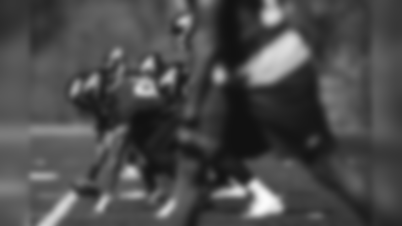 E_SZP_0293