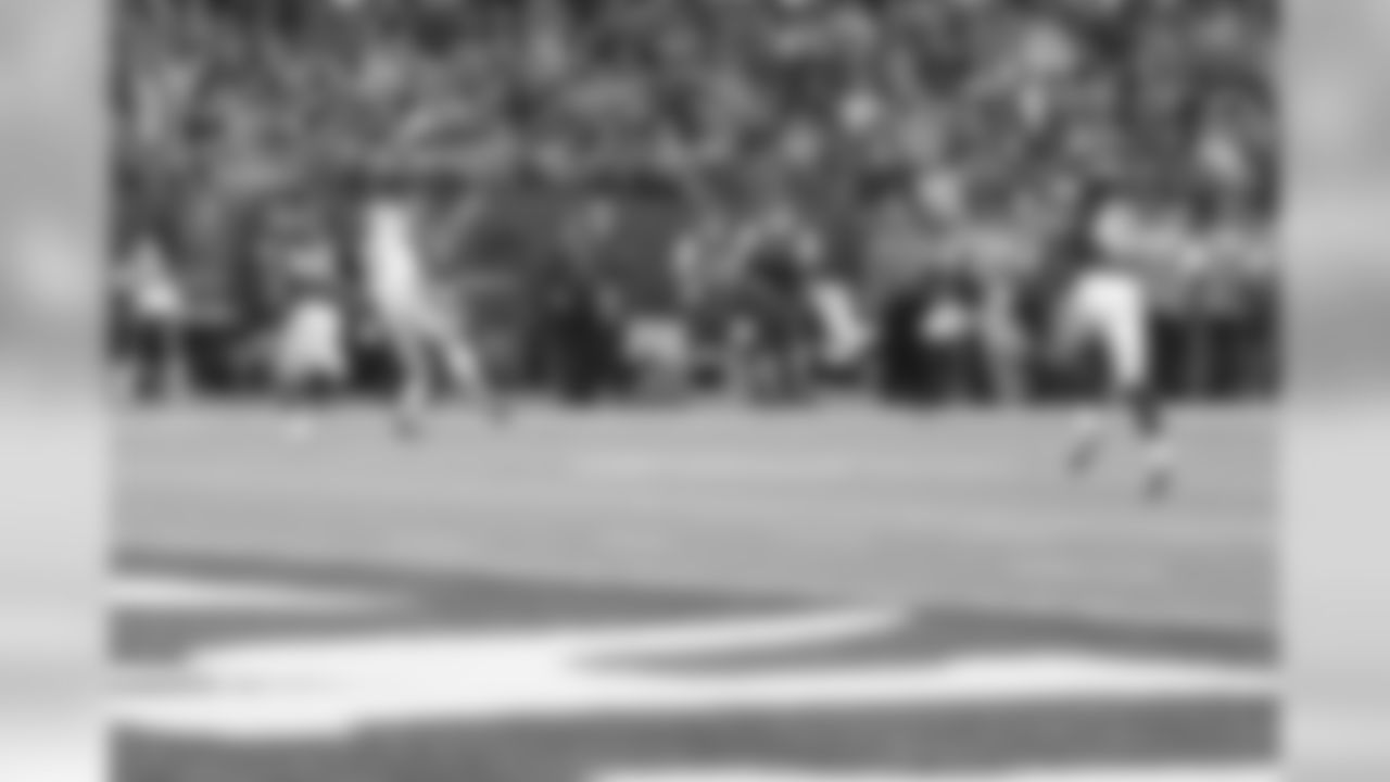 Detroit Lions wide receiver Kenny Golladay (19) makes a diving catch during a NFL football game against the Minnesota Vikings on Sunday, Nov. 4, 2018 in Minneapolis. (Detroit Lions via AP).