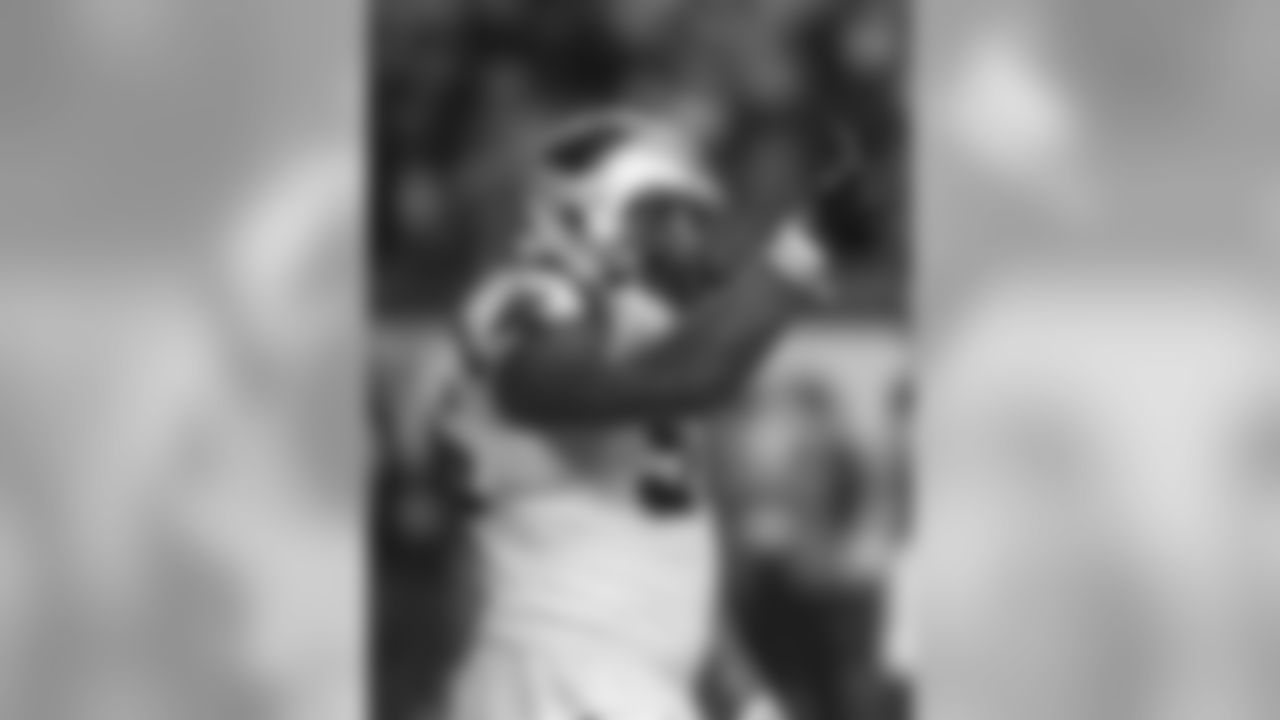 Carolina Panthers play against the Atlanta Falcons on Sunday, December 29, 2013.