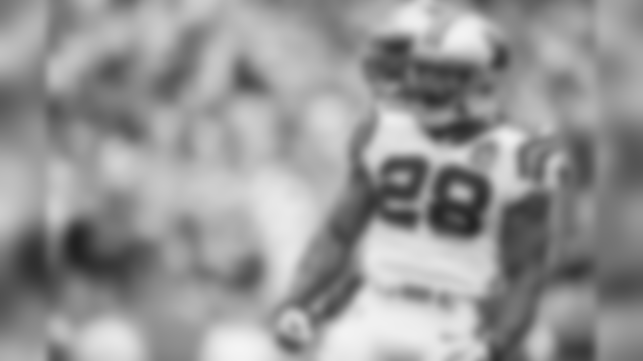 Carolina Panthers play against the Detroit Lions on Sunday, September 14, 2014.