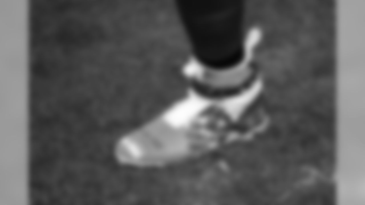 CARatCLE_501