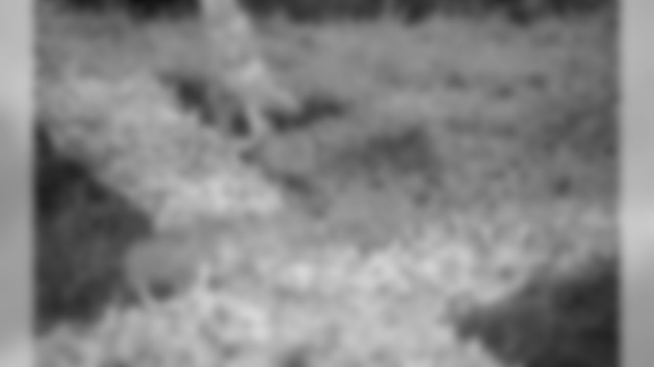 FieldPainting176