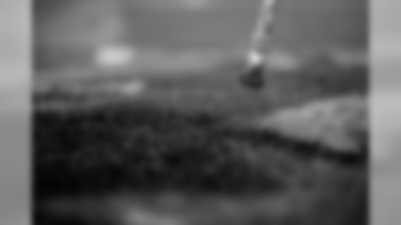 FieldPainting356