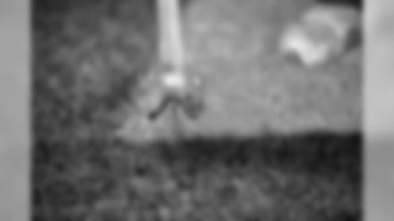 FieldPainting409