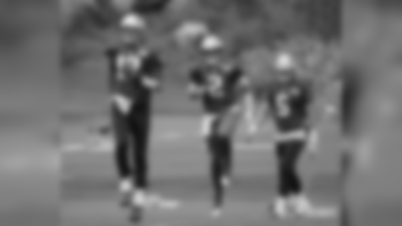 Tom Brady, Brian Hoyer and Danny Etling