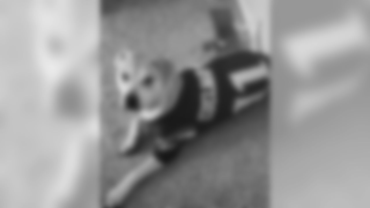 53270_8_2646495718