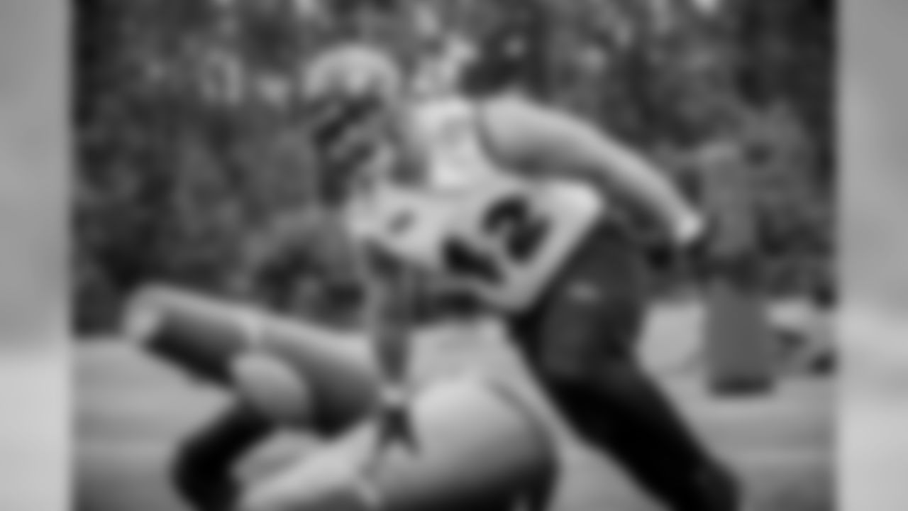 FB/DL Patrick Ricard