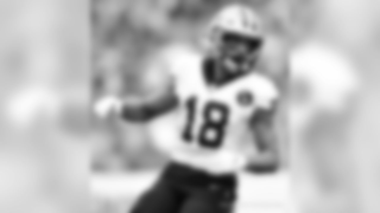 Saints 28 - Bucs 14 (W)
South Division Champions
New Orleans Saints 2018 Season
Michael C. Hebert