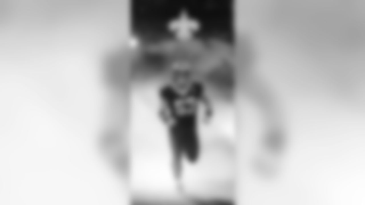 Panthers 33 - Saints 14 (L)
13-3 for the 2018 Season
Number 1 Seed in the NFC
New Orleans Saints 2018 Season
Michael C. Hebert