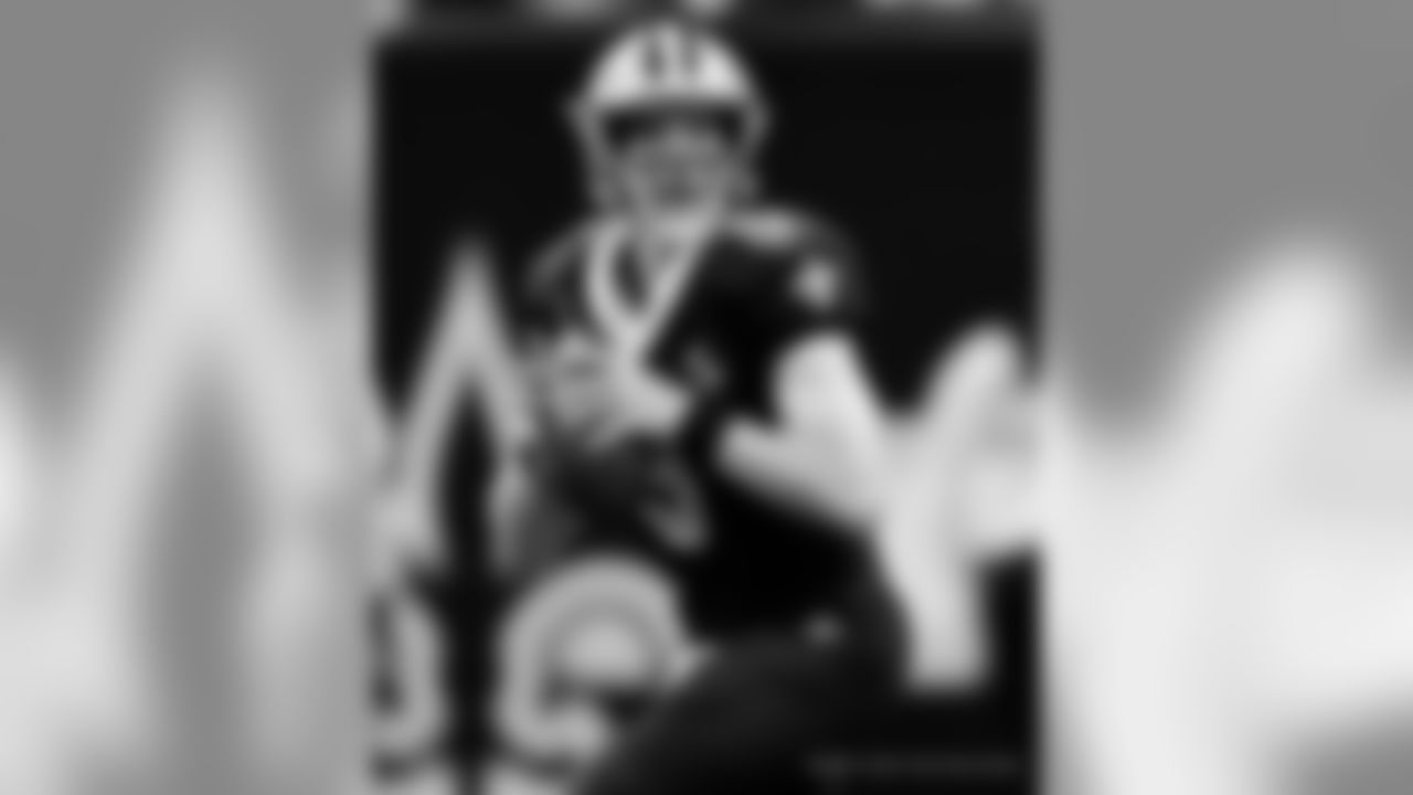 Saints 20 - Eagles 14 (W)
Divisional Game
Michael C. Hebert