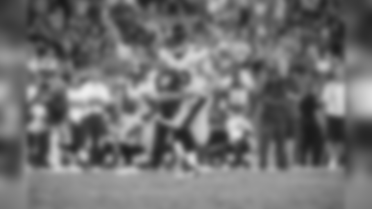 Preseason Week 4 - Steelers at Panthers (Last game played at CAR in 2014)