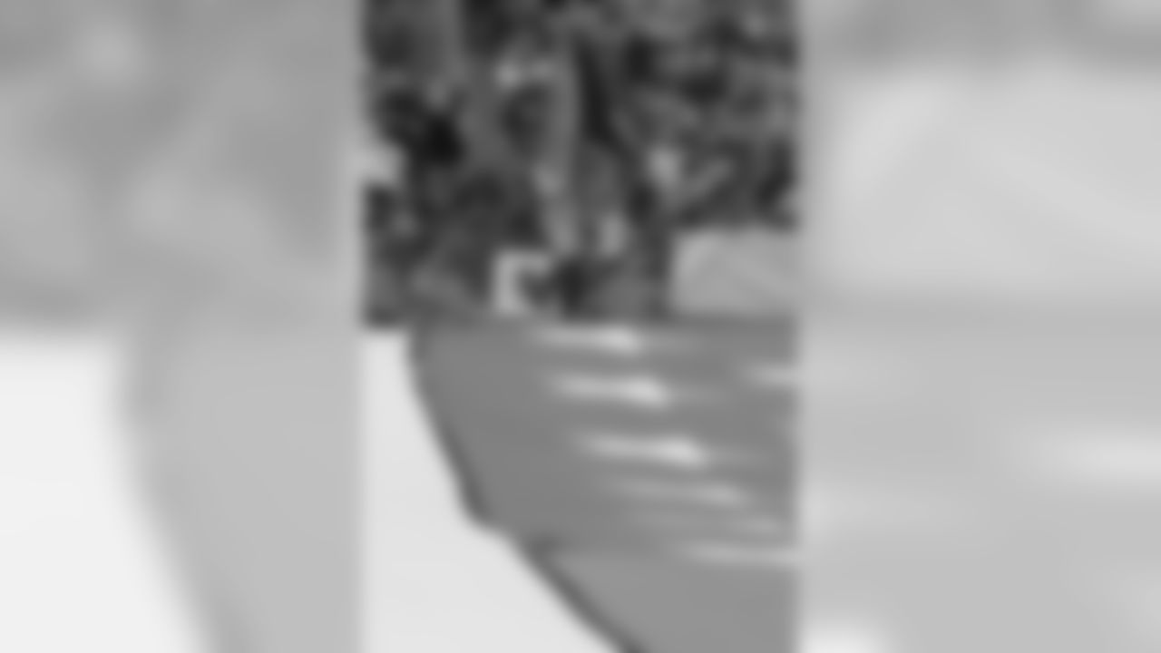 _SP24528