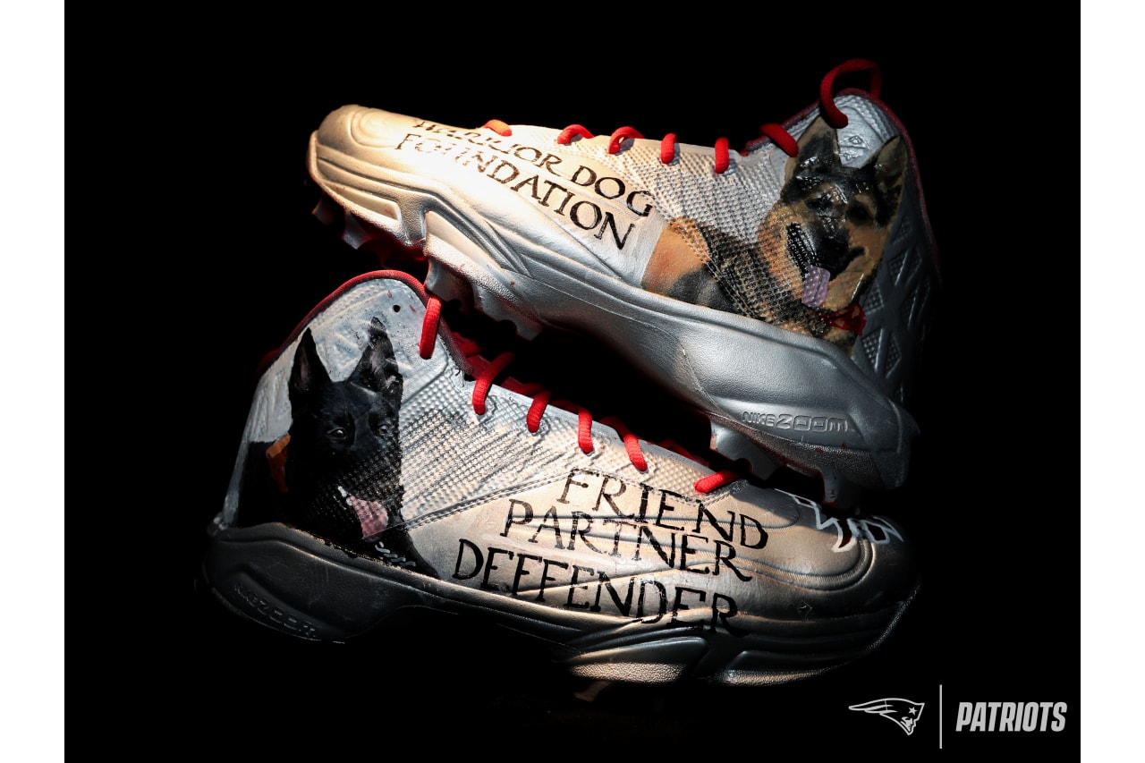 David Andrews - Warrior Dog Foundation.