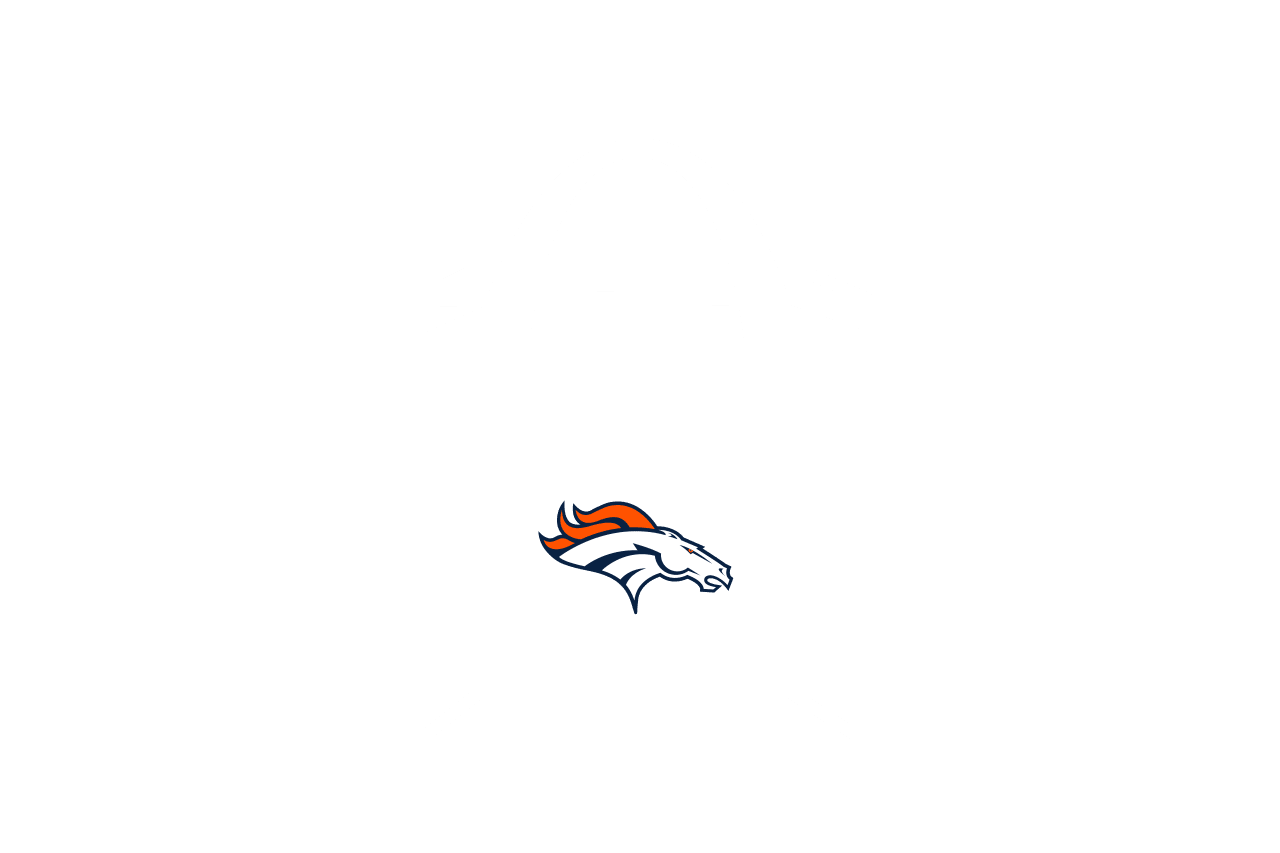 Denver Broncos  Clear Bag Policy