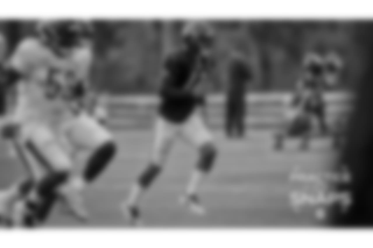 WR Allen Robinson II