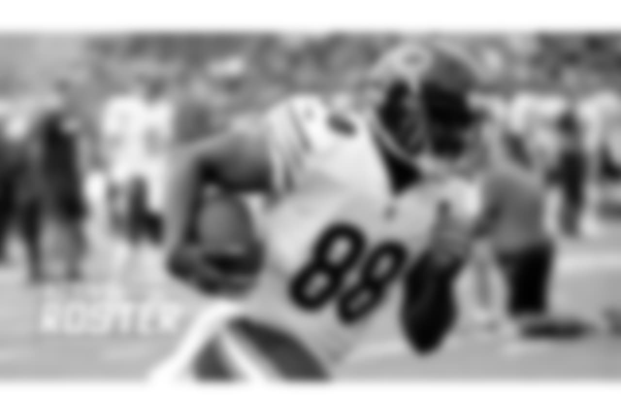 TE Dion Sims