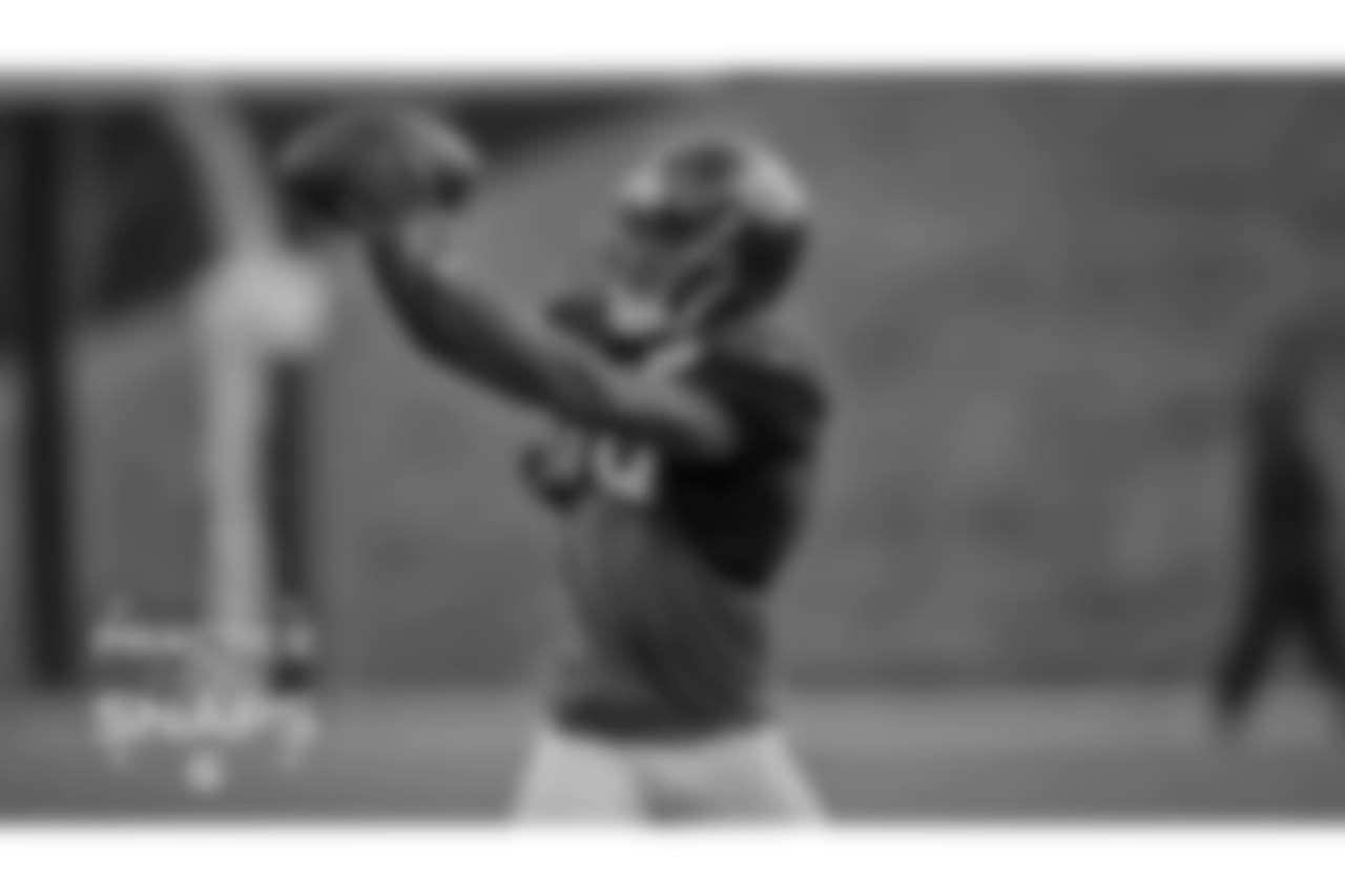 WR Taylor Gabriel