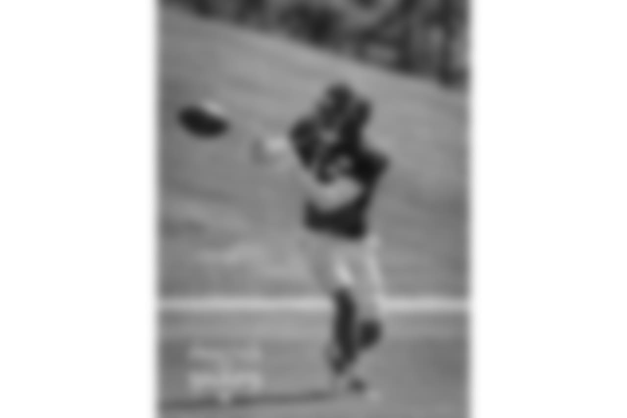 WR Allen Robinson II