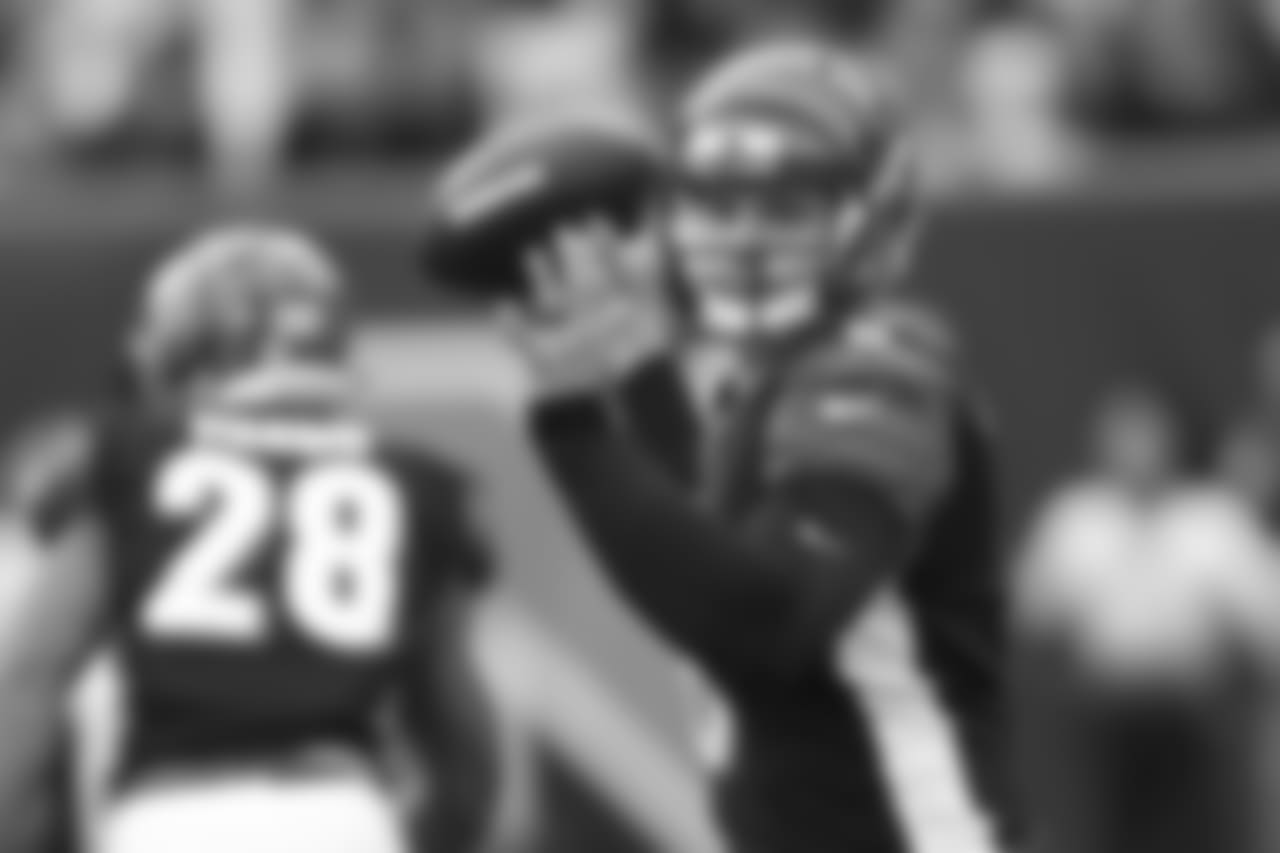 Cincinnati Bengals quarterback Jeff Driskel passes in the second half of an NFL football game against the Cleveland Browns, Sunday, Nov. 25, 2018, in Cincinnati. (AP Photo/Gary Landers)