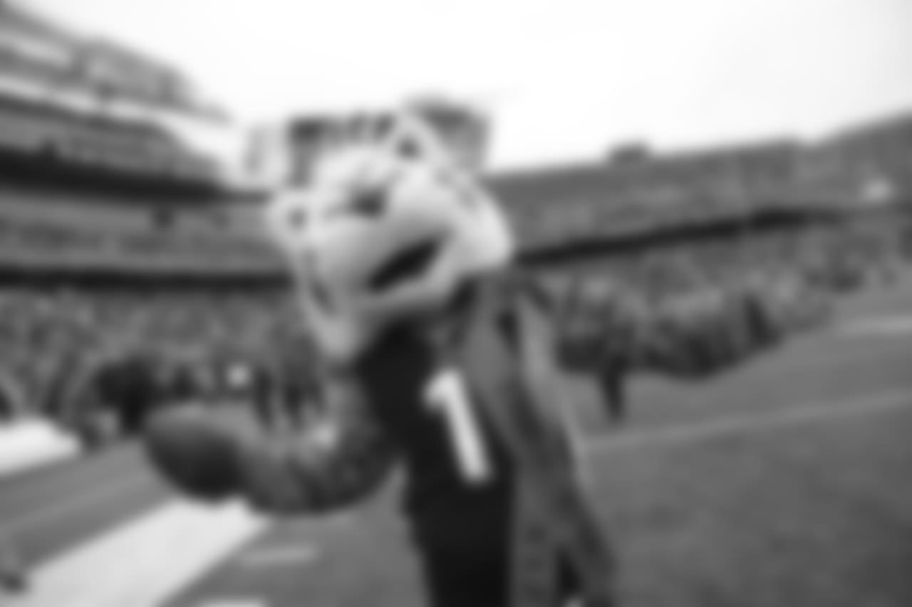 Mascot Who Dey poses pregame before the Bengals host the Pittsburgh Steelers from Paul Brown Stadium.