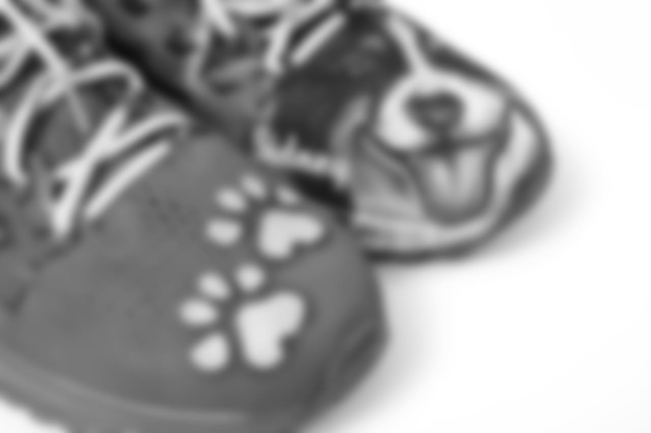 Bills Owner & CEO Terry Pegula: A Lending Paw