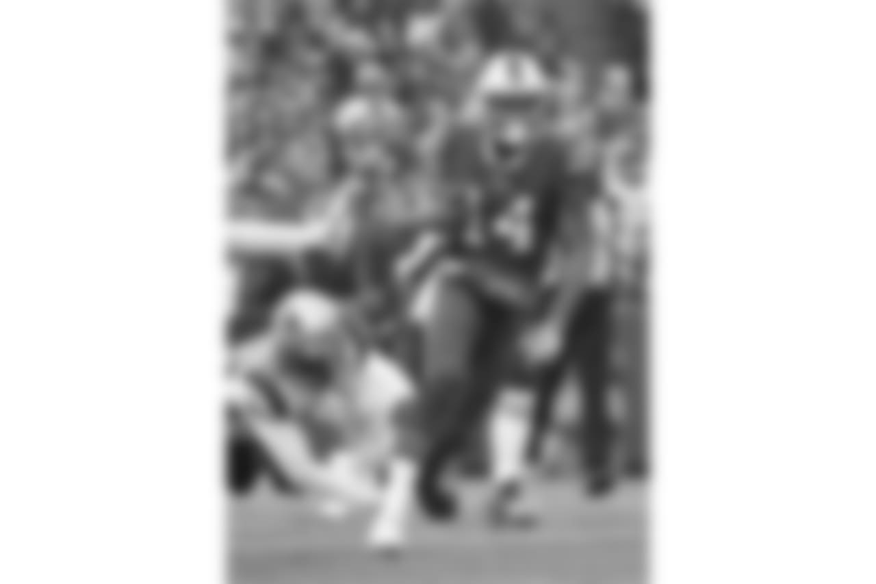 Joe Webb #14, QB