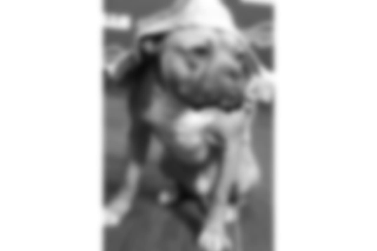 Age/Breed: Two-year-old French bulldog/Staffordshire mix
Skills: Bruno can do it all! He is housebroken, crate trained and great on a leash. He is mellow and shy but loves snuggling. Bruno enjoys one-on-one attention and is great with kids.
To fill out an application to adopt Bruno and to view other adoptable dogs, click here!