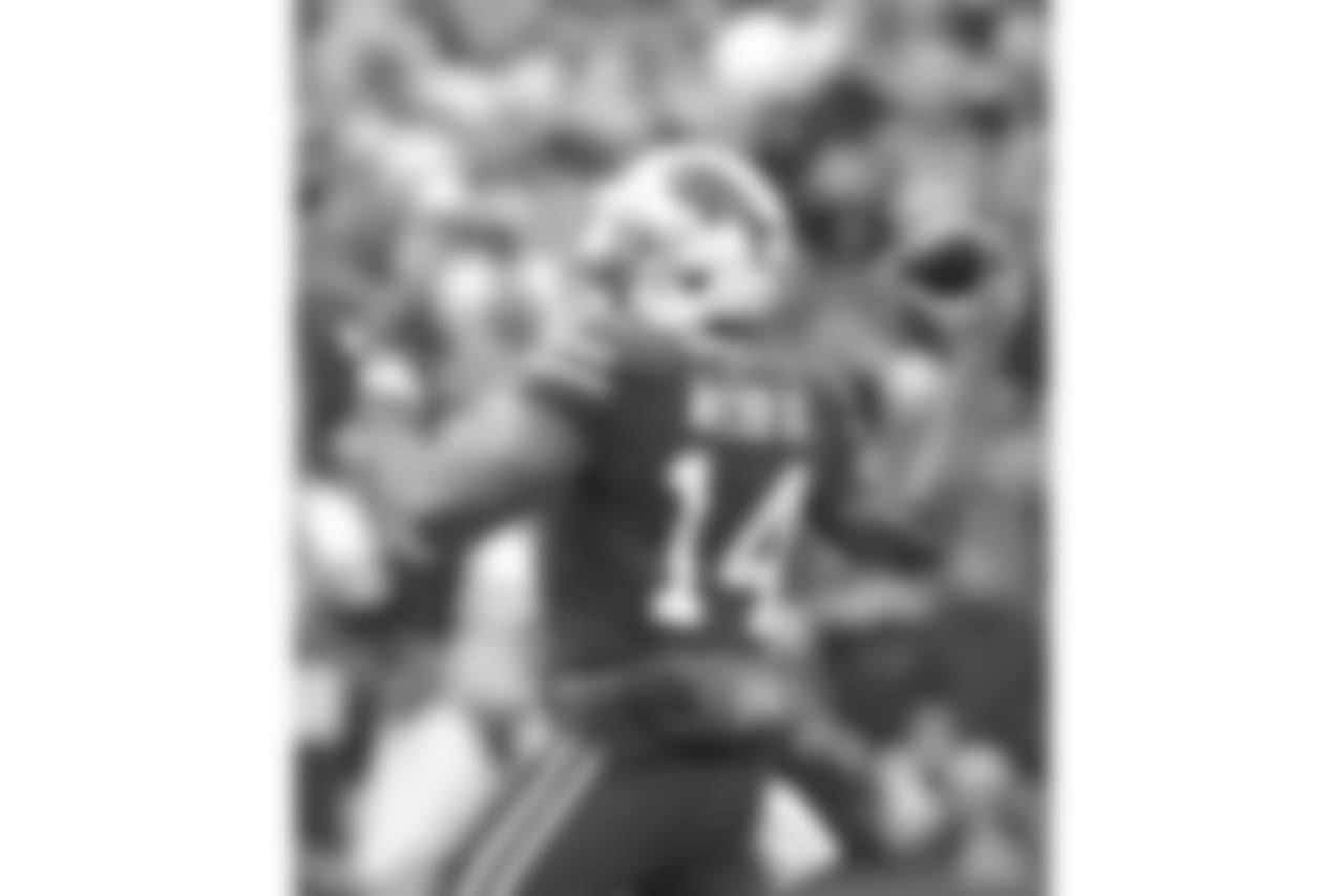Joe Webb #14, QB