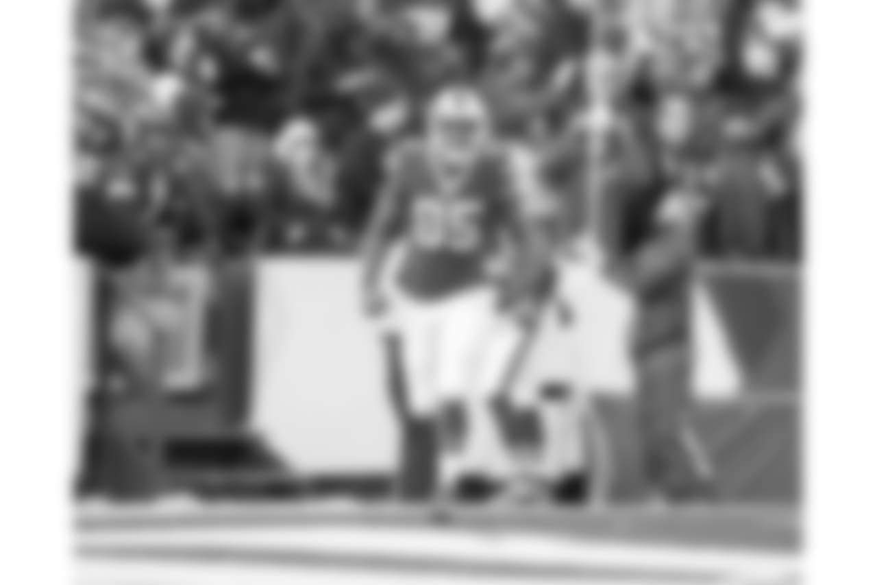 NOV 27, 2016, Orchard Park, NY: The Buffalo Bills against the Jacksonville Jaguars at New Era Field. Charles Clay
(c) 2016 Craig Melvin